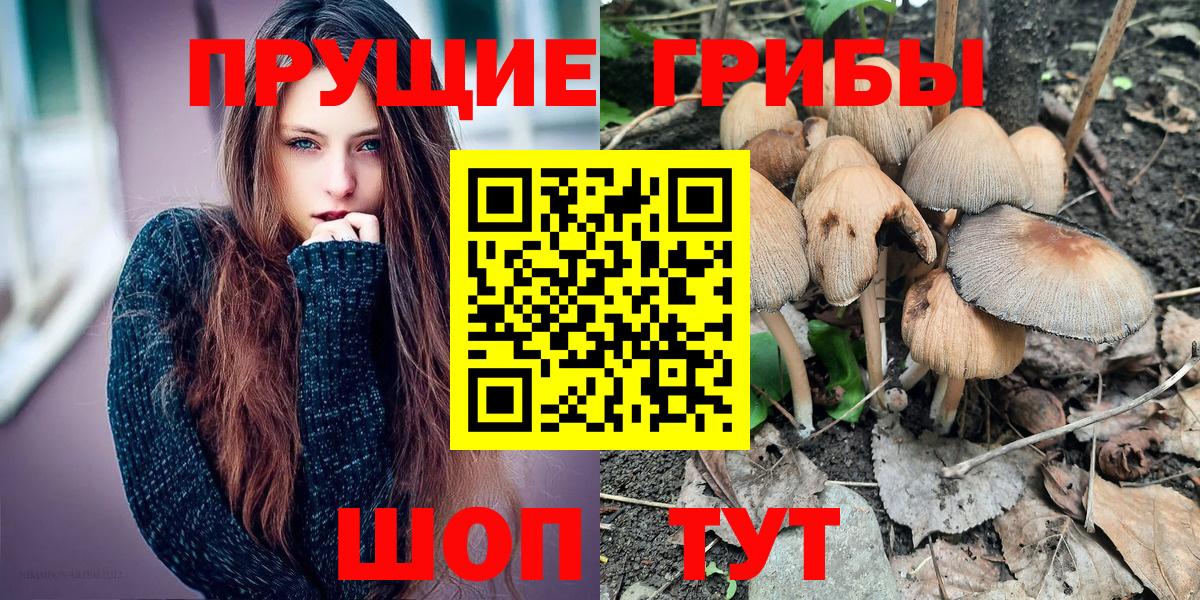 наркошоп  Галлюциногенные грибы Magic Shrooms  Вход с VPN  Кирово-Чепецк 