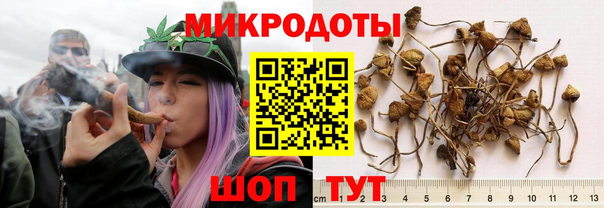Галлюциногенные грибы ЛСД Кирово-Чепецк